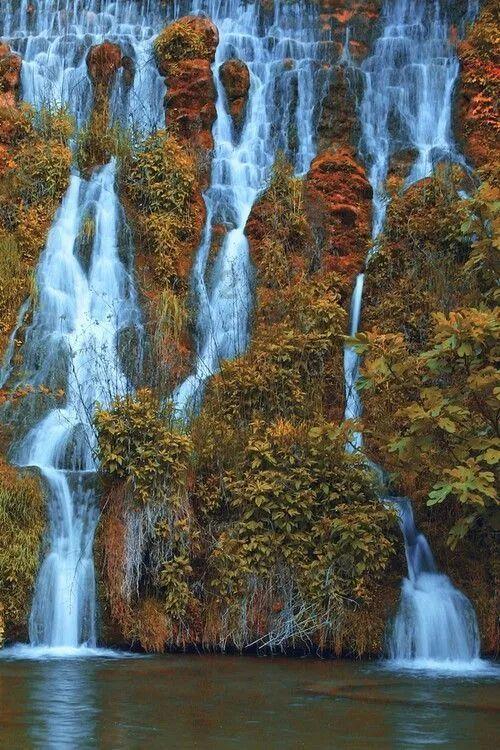 逃离废弃高校